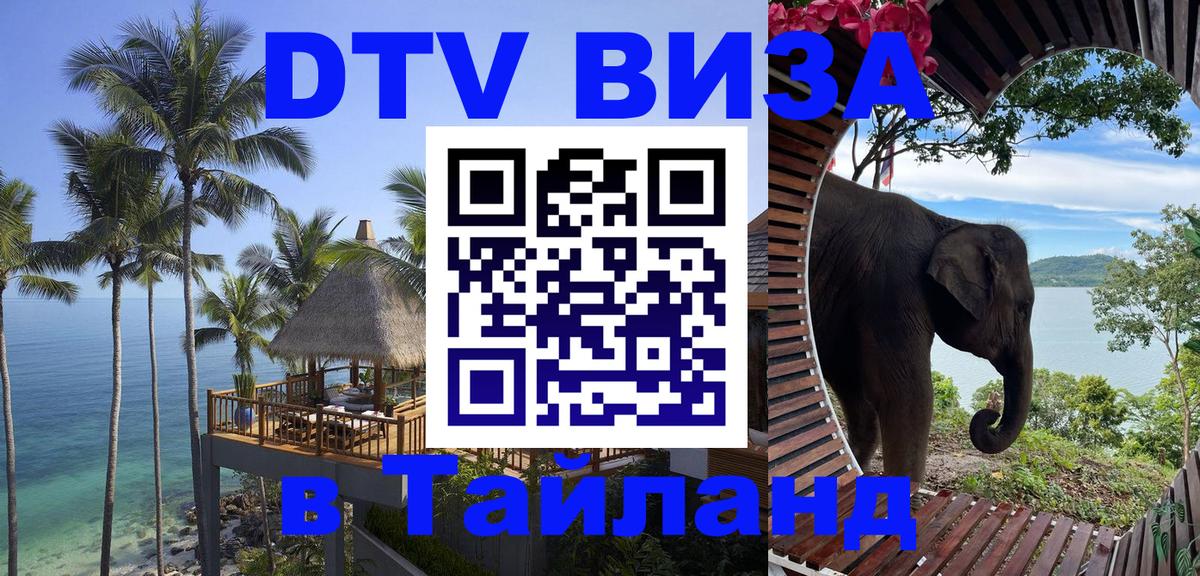 Оформление DTV визы под ключ: стоимость и тарифы, только загранпаспорт - Шахты 